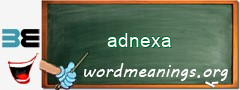 WordMeaning blackboard for adnexa